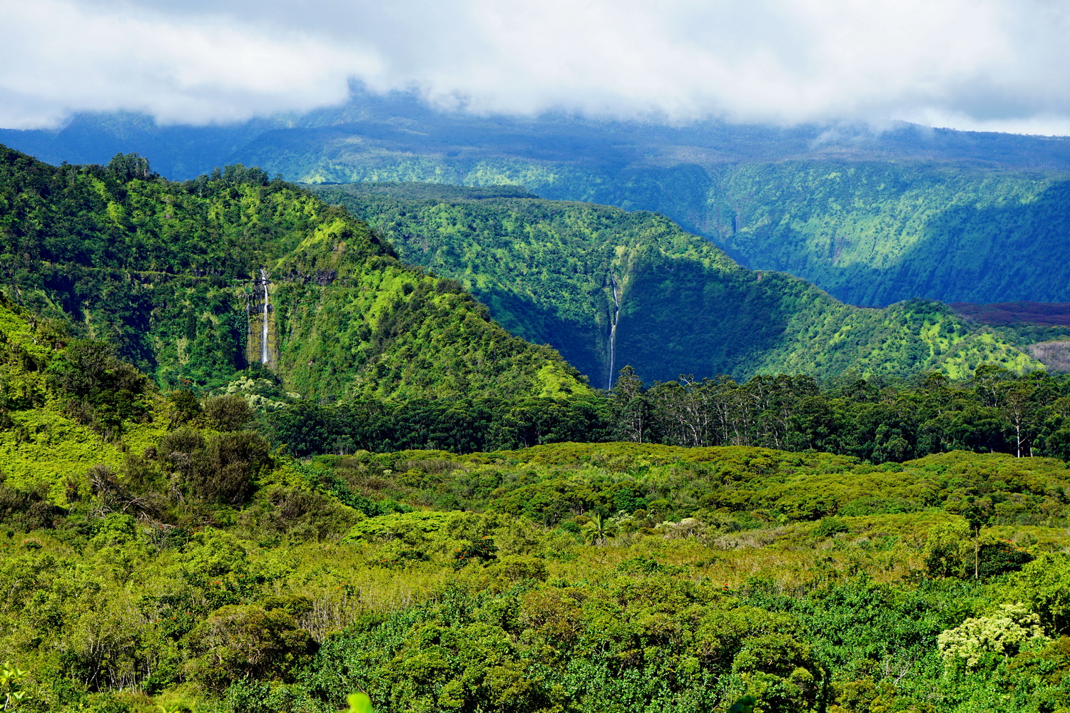 Ke'anae Valley - Hana - Maui - Hawaii