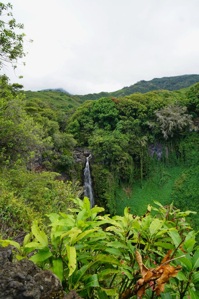 View of Makahiku Falls.